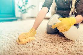 jak čistit zašlý koberec