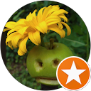 Ad Am profile picture